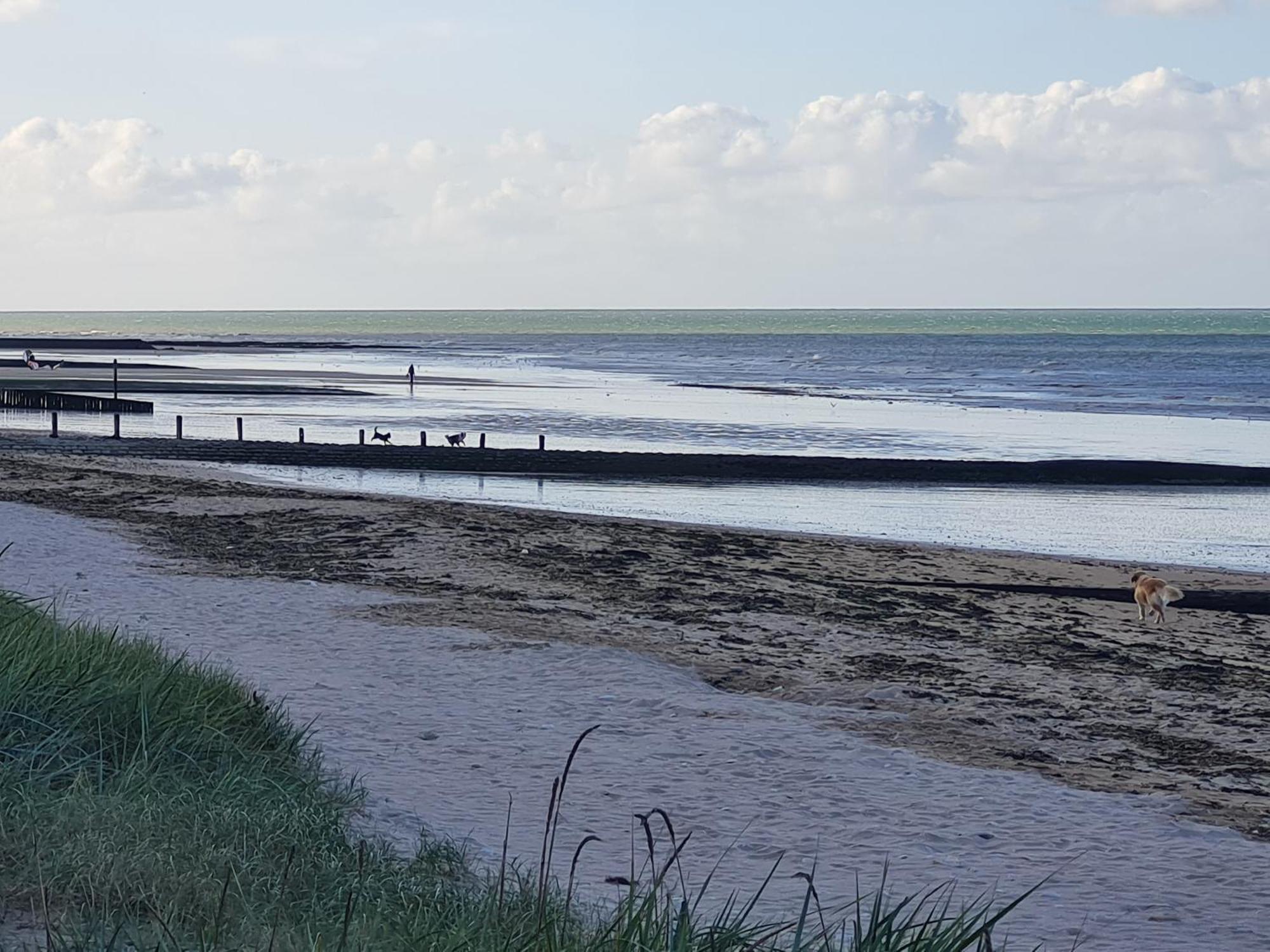 Les Pieds Dans L'Eau - Acces Direct A La Plage Bernières-sur-Mer Kültér fotó